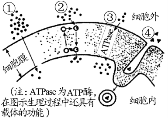 3（上试卷）