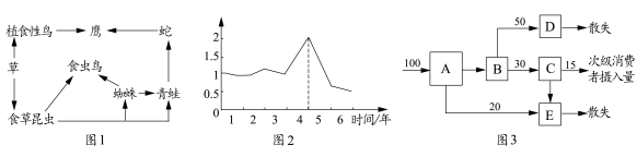 32上试卷