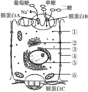 D:\转WORD\崔\2018\模拟卷\镇江一模(三)\ZJ18-SW17.tif